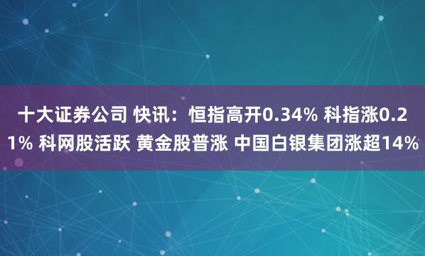 十大证券公司 快讯：恒指高开0.34% 科指涨0.21% 科网股活跃 黄金股普涨 中国白银集团涨超14%